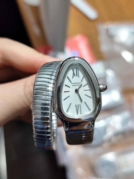 Montre-bracelets de mode de mode classique de mode Classic Watan Watchs Double surround en acier inoxydable STRAP QUARTZ Mouvements de quartz vestiment