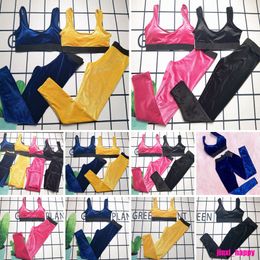 Femmes Sexy maillots de bain INS lettre Jacquard lingerie slips 2 couleurs Transparent broderie soutiens-gorge sous-vêtements