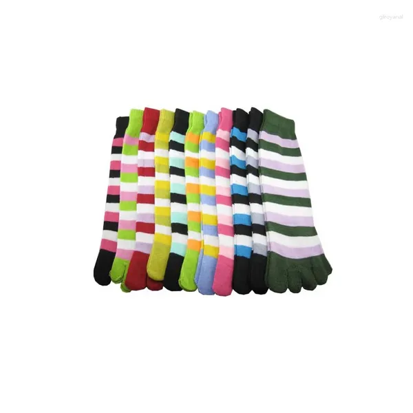 Chaussettes de femmes 5 paires couleurs de bonbons vif conception de la femme à bande solide de qualité du motif solide