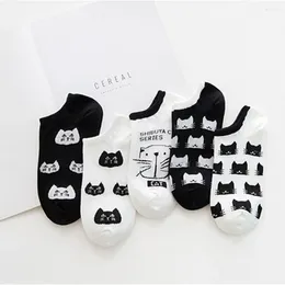 Chaussettes en coton pour femmes, 5 paires, ensemble court, mignon, dessin animé, filles, Kawaii, noir, blanc, chat, chaton, tête, coupe basse, cheville, Calcetines