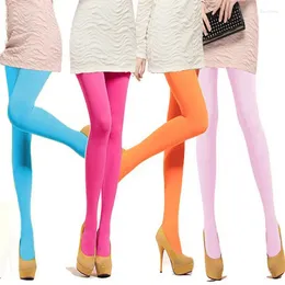 Chaussettes couleur bonbon pour femmes, collants chauds et Sexy, en velours 120D, sans couture, grands bas élastiques longs, printemps et été