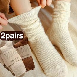 Vrouwen sokken Casual vaste lang eenvoudige retro katoenen kousen warm pluche slaap sneeuw Sox Harajuku thermische medium buis sok
