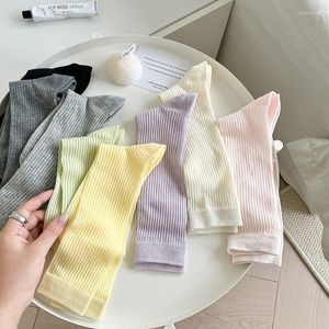 Femmes chaussettes mode longue haute printemps été lâche respirant maille couleur bonbons antibactérien déodorant