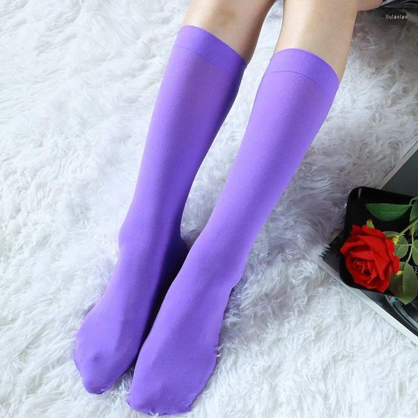 Calcetines de mujer moda terciopelo hasta la rodilla Sexy Color caramelo elástico pantorrilla estilo japonés Lolita niñas medias suaves y cálidas