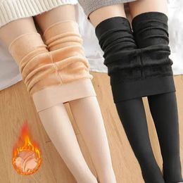 Mujeres calcetines cálidos invierno nosotros. Finamiento de pantimedias elásticas Velvet Manguera térmica Sexy panty femenino medias delgadas medias de vellón.