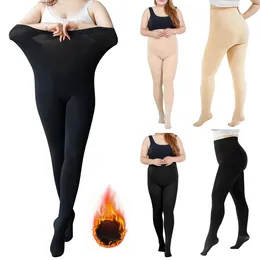 Mujeres calcetines pantalones para mujeres en color sólido para mujeres pantimedias de fondo un archivo de línea con pie modelo 100g sin bragas