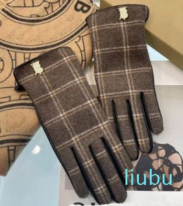 Gants d'hiver en cachemire pour femmes, doigts en cuir, écran tactile, isolation de cyclisme, gants en peau de mouton