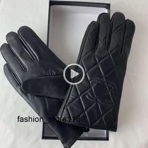 Leren winterhandschoenen voor dames Pluche touchscreen voor fietsen met warme geïsoleerde vingertop van schapenvacht Handschoenen IN88