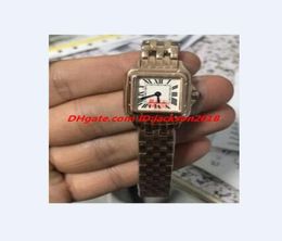 Dames polshorloges Quartz Chronograph 22mm WGPN0006 Rose Gold roestvrijstalen stalen armband Luxe Lady Watches7330632