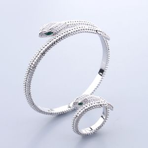 Bracelets de bracelet en bracelets en argent en argent à serpent en or 18k
