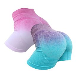 Mujeres pantalones cortos de bicicleta de entrenamiento de 2 piezas Portas de calzado sin costuras de la cintura sin costura Leggings Scrunch Butt Lift Gym Shorts 240407