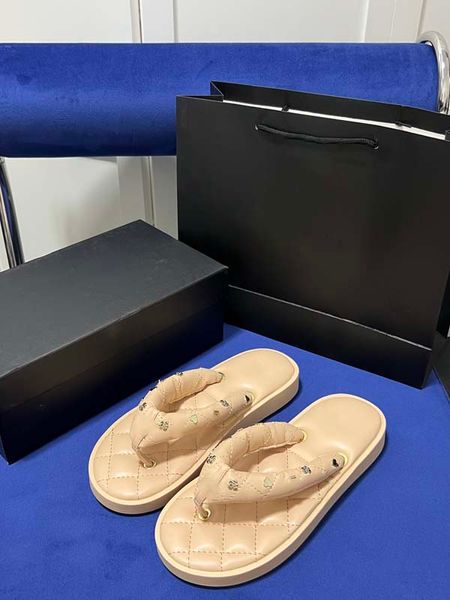 Sandalias de diseñador para mujer, zapatillas de lujo con Clip para pan y pies en espiga, zapatillas de playa impermeables y antideslizantes para exteriores