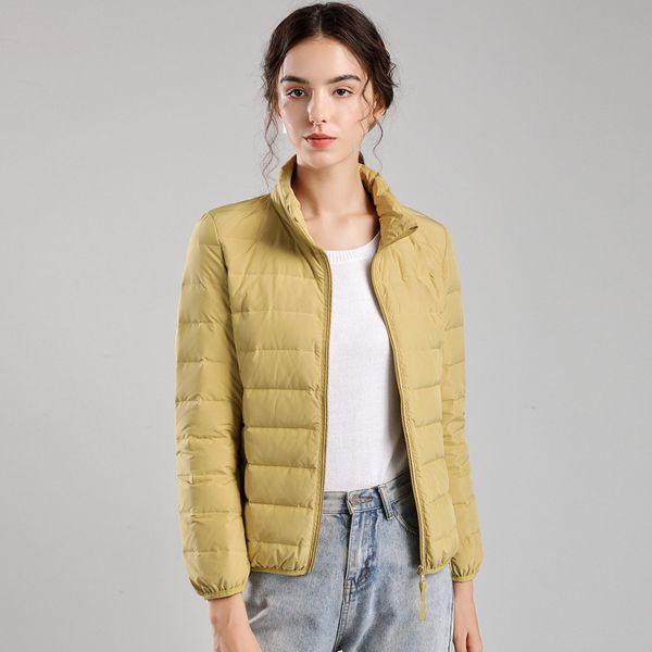 Chaqueta para mujer down parkas braes de revestimiento exterior de ropa de moda