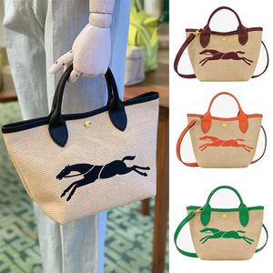 Bolsas de diseño de lujo para mujer Raffias Capas