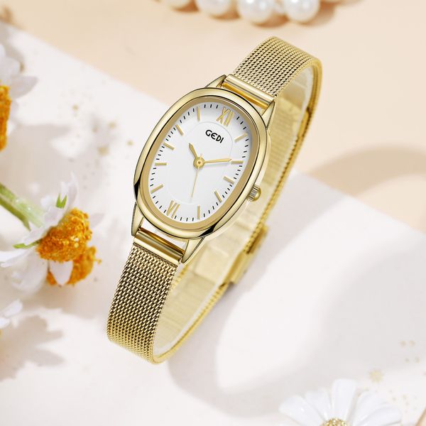 Luz de las mujeres Luxury simple Exquisito Oval Senior Sense Womens Womens Imploud Mesh Quartz Watch H3