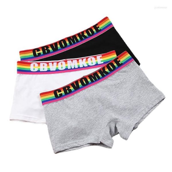 Femmes culottes arc-en-ciel coton boxer slips pour trans lesbiennes Tomboy LGBT Knickers sous-vêtements femmes lingerie drop livraison vêtements Dhmlz