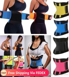 Femme Shaper Unisexe Corps Shaper Smallage Shaper Belt Girdles Contrôle Contrôle Trainer Cincher Plus taille S3XL ShapeWear8551130