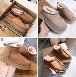 Pantoufles pour femmes Tazz Chestnut Fur Slides Dheepskin Shearling pantoufle Tasman Classic Ultra Mini Platform Boots 1uggslies-66 bottes Blend Winter Australia Booties DG