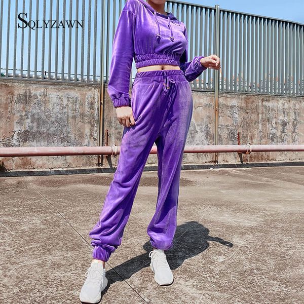 Femmes Deux Pièces Pantalons Velours 2 Hoodies Cropped Sweat Ensemble Automne Hiver Rose Violet Casual Polaire Survêtement Velour Sport Outfit 230321