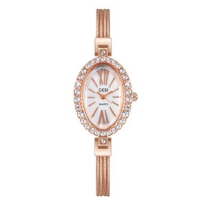 Montres pour femmes montres de haute qualité Fashion décontractée ovale petite assiette légère luxe de luxe Bracelet étanche quartz 20 mm Watch D4