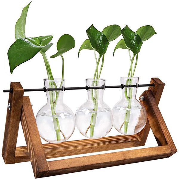 Vase à plantes hydroponiques avec cadre en bois, décoration de bureau, bonsaï, Pot de fleur Transparent avec porte-plateau, pour la maison