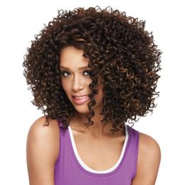 Woodfestival Afroamerican Wig Synthetic Corto Afro Kinky Curly Wigs para mujeres negras PELO DE FIBRA DE FIBRA MEDIA 8385717