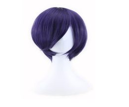 Woodfestival Cosplay Wig Tokyo Ghoul Kirishima Dong Xiang Men Short Wigs Dark Purple Anime Wig Synthetic Fibre Hair6360470