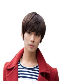 Woodfestival Short Black Wig For Men Brown Ringal Hair bonne qualité Handsome Time résistante Fibre synthétique Perventes Boy5144567