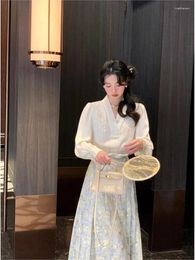 Werkjurken Chinese stijl pak Dames paardengezichtjurk Lange rok Landelijk borduurwerk Elegant overhemd Fee 2-delig