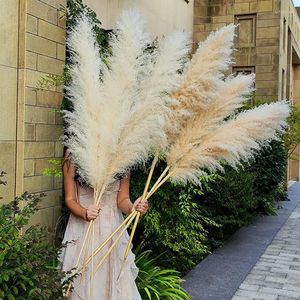 Kransen decoratieve bloemen 120 cm natuurlijke gedroogde bloem reed pampas gras boho home decor bruiloft decoraties boerderij achtergrond