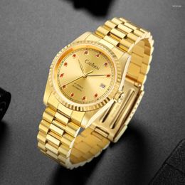 Montres-bracelets CADISEN Montres pour hommes 2024 MIYOTA 8215 Movt Montre automatique de luxe Montre-bracelet mécanique pour homme AR Sapphire Glass Clock