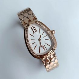 Polshorloges voor vrouwen 2023 Nieuwe dames horloges Diameter Alle Dial Work Quartz Bekijk top luxe merk Brei Bvl31