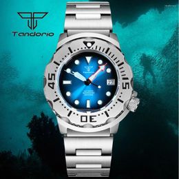 Polshorloges Tandorio 42mm NH35A Monster Case Sunburst Dial 20Atm Dive Men's Automatic Watch AR Sapphire Glass 3.8 Crown Date Gradient Color