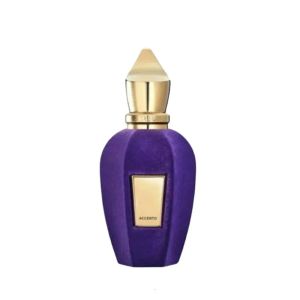 Xerjoff V Coro OPERA parfum VERDE ACCENTO EDP Luxury Series Gulong parfum ontworpen voor vrouwen 90ml best verkochte spray charmante parfum