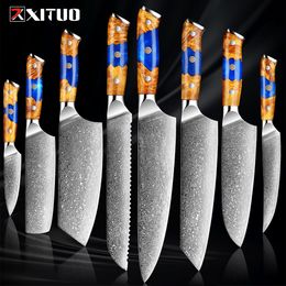 Xituo Damascus Steel Couteau 67 couches japonais VG10 Chef's Knives Kitchen Sinsirant nakiri pain Santoku Paring Blue Resin Handle