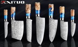 Xituo Keuken Knivesset Damascus Staal VG10 Chef Knife Cleaver Paring Brood Knife Blauwe hars en kleur Houtgreep Kookgereedschap2121756