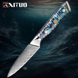 Xituo Paring Couteau 3,5 pouces Damas Vg10 Japanese Super Steel Kitchen Vellets, Fruit Knife Razor Sharp Cooking Knife
