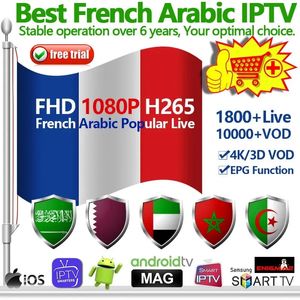 XXX M3U Europe Vod Receiver Lives UK English Spain Italie France HD OTT PLU