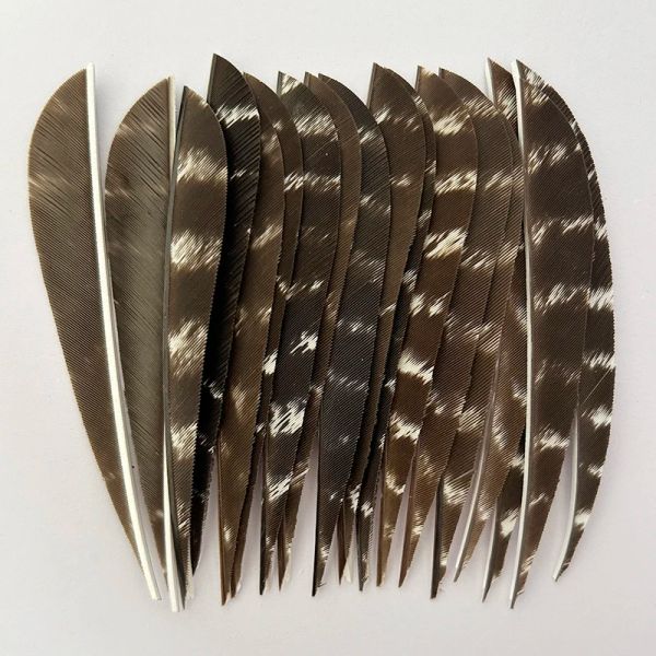 Flèches de tir à l'arc de Yabao Fletching 4 pouces 50 pcs / lot Réauses de plumes de dinde naturelles pour la chasse au tir traget