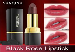 YANQINA rouge à lèvres noir Rose bleu Rose température des lèvres changement de couleur naturel longue durée imperméable cosmétiques femme maquillage 7417363