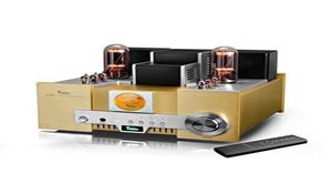 Yaqin MS650B 845 GB Vacuüm Tube Hiend Tube Integrated Amplifier 12at7 12aU7 met Remoto Control 110V240V Brend new8971781