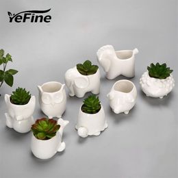 Maceta de cerámica creativa YeFine, macetero para jardín, bonsái, escritorio, maceta de flores suculentas, macetas de animales lindos Y200709240b