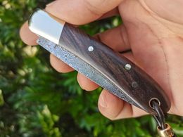 YL H2377 Pocket Folding Blade Knife 67 lagen VG10 Damascus stalen mes ebbenhout WTIH messing handvat Outdoor Camping Wandelen EDC Folder Knives