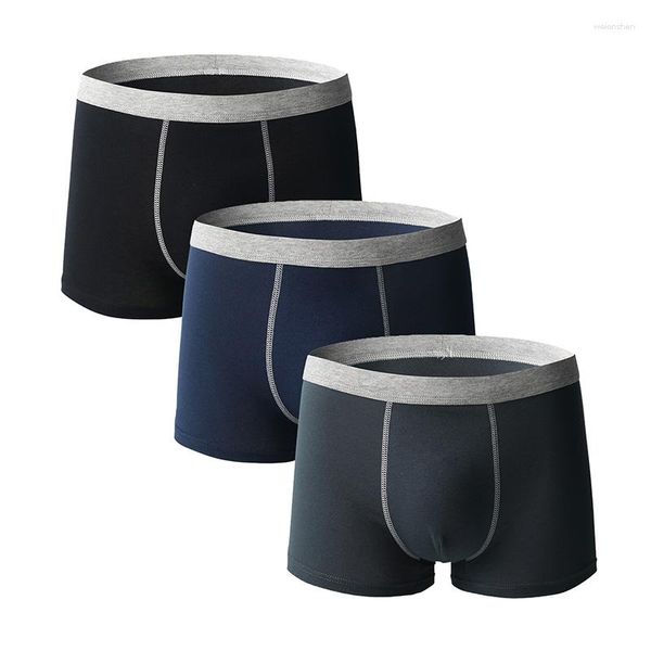 Tenue de yoga 3 pièces sous-vêtements pour hommes pantalons en coton respirant et confortable Boxer à la mode ample ajusté