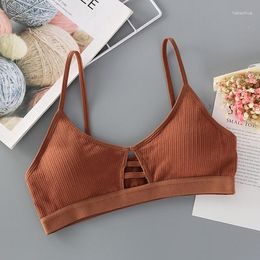 Traje de yoga DeRuiLaDy Correa delgada Bralette Lencería sexy Sin costuras Hollow Out Sujetadores suaves para mujeres Push Up Bra Ropa interior cómoda