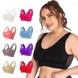 Yoga Outfit M-6XL Femmes Hollow Out Fitness Sports Soutien-gorge pour courir Gym Rembourré Push Up Top sans couture Gilet athlétique Brassiere