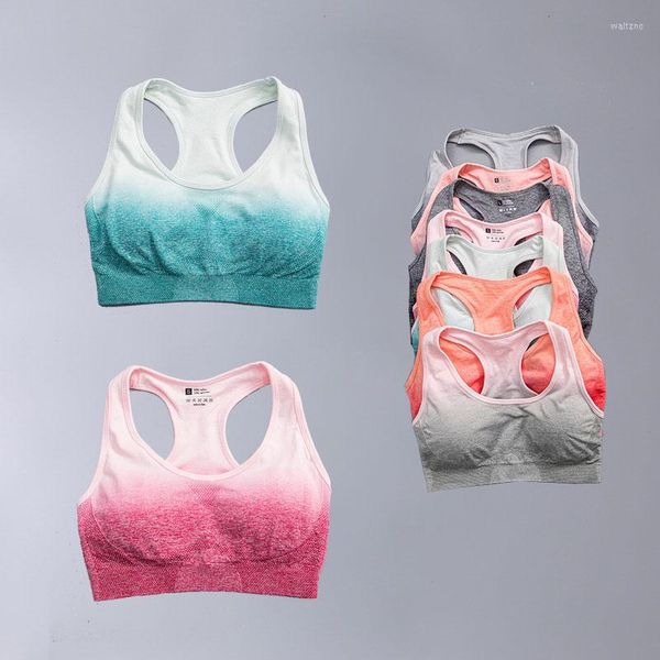 Tenue de Yoga femmes sans couture Fitness Ombre Sport soutien-gorge course entraînement vêtements de sport haut court fille dame femme vêtements de Sport séchage rapide