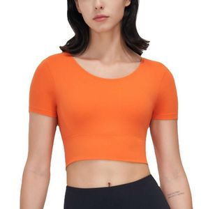 Tenues de yoga Top vêtements de sport collants pour femmes soutien-gorge chemise de sport manches courtes course chemise mince