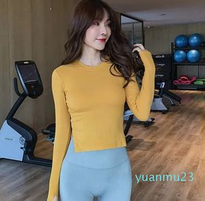 Tenues de yoga Chemise de yoga à manches longues sans couture Fitness Crop Top Top d'exercice T-shirt de course Soutien-gorge Vêtements de sport Sweat-shirt