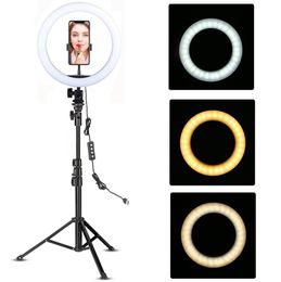 YouTube Makeup Remplante Video Video en direct LED LED LEUL LEAU 10 pouces avec support de téléphone Tripod Stand Selfie Circle Tikok Lamp7718702